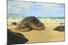Green Sea Turtle (Chelonia mydas), pulled up on shore, Hookipa Beach Park, Maui, Hawaii, USA-Stuart Westmorland-Mounted Photographic Print