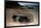 Green Sea Turtle Digging a Nesting Hole on a Beach (Chelonia Mydas), Pacific Ocean, Borneo.-Reinhard Dirscherl-Framed Photographic Print