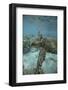 Green Sea Turtle Swimming-DLILLC-Framed Photographic Print