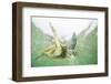 Green Sea Turtle-DLILLC-Framed Photographic Print