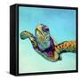 Green Sea Turtle-Corina St. Martin-Framed Stretched Canvas