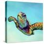 Green Sea Turtle-Corina St. Martin-Stretched Canvas