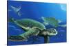 Green Sea Turtles-Durwood Coffey-Stretched Canvas