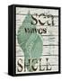 Green Seashell-Karen Williams-Framed Stretched Canvas