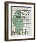 Green Seashell-Karen Williams-Framed Giclee Print