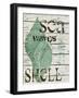 Green Seashell-Karen Williams-Framed Giclee Print
