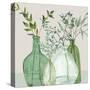 Green Serenity Accents-Elizabeth Medley-Stretched Canvas