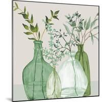 Green Serenity Accents-Elizabeth Medley-Mounted Art Print