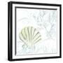 Green Shell-Lanie Loreth-Framed Art Print