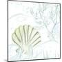 Green Shell-Lanie Loreth-Mounted Art Print