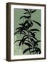 Green Silhouette II-Asia Jensen-Framed Art Print