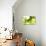 Green Smoke-GI ArtLab-Giclee Print displayed on a wall