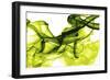 Green Smoke-GI ArtLab-Framed Giclee Print