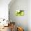 Green Smoke-GI ArtLab-Mounted Giclee Print displayed on a wall
