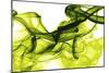 Green Smoke-GI ArtLab-Mounted Giclee Print