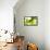 Green Smoke-GI ArtLab-Framed Stretched Canvas displayed on a wall