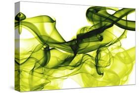 Green Smoke-GI ArtLab-Stretched Canvas