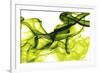 Green Smoke-GI ArtLab-Framed Giclee Print