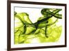 Green Smoke-GI ArtLab-Framed Giclee Print