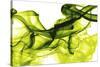 Green Smoke-GI ArtLab-Stretched Canvas