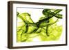 Green Smoke-GI ArtLab-Framed Premium Giclee Print