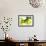 Green Smoke-GI ArtLab-Framed Premium Giclee Print displayed on a wall