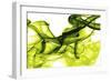 Green Smoke-GI ArtLab-Framed Premium Giclee Print