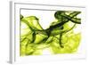 Green Smoke-GI ArtLab-Framed Giclee Print