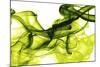 Green Smoke-GI ArtLab-Mounted Giclee Print