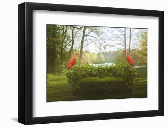 Green Sofa And Flamingos-Eleni Tzima-Framed Photographic Print