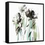 Green Spring II-null-Framed Stretched Canvas