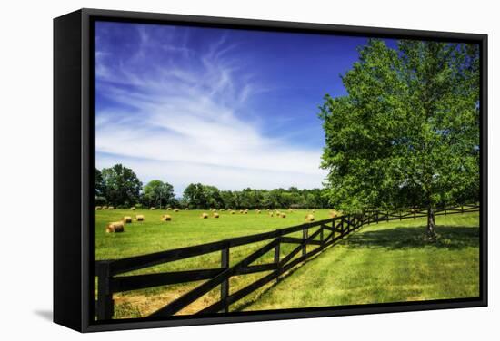 Green Springs Farm I-Alan Hausenflock-Framed Stretched Canvas