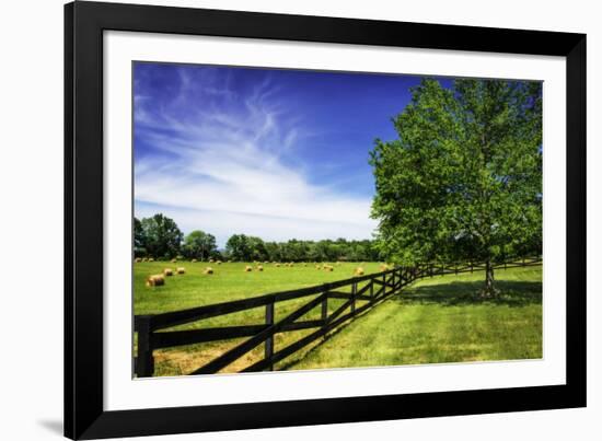 Green Springs Farm I-Alan Hausenflock-Framed Photographic Print