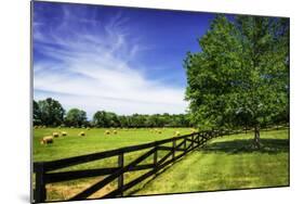 Green Springs Farm I-Alan Hausenflock-Mounted Photographic Print