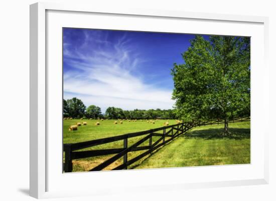 Green Springs Farm I-Alan Hausenflock-Framed Photographic Print