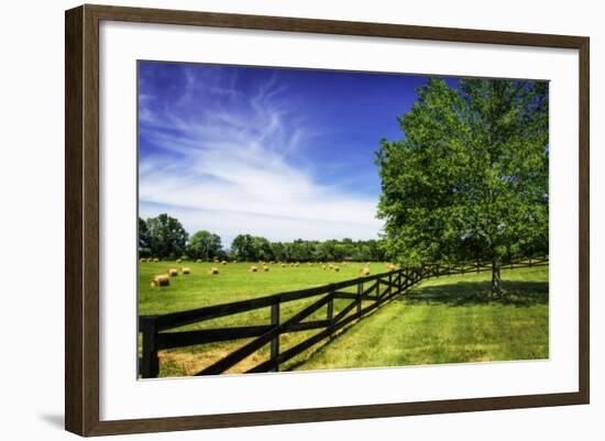 Green Springs Farm I-Alan Hausenflock-Framed Photographic Print