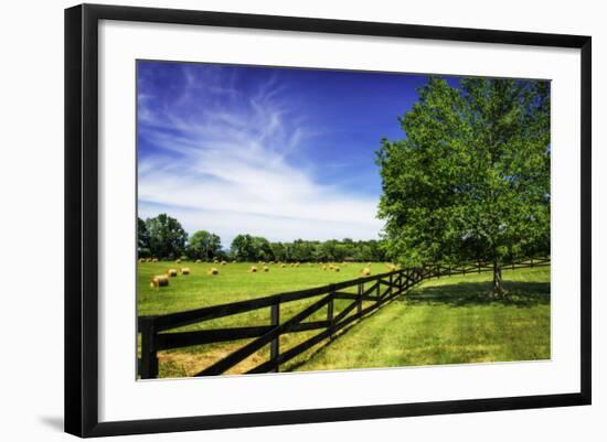 Green Springs Farm I-Alan Hausenflock-Framed Photographic Print