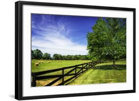 Green Springs Farm I-Alan Hausenflock-Framed Photographic Print