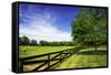 Green Springs Farm I-Alan Hausenflock-Framed Stretched Canvas