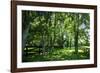 Green Springs Farm III-Alan Hausenflock-Framed Photographic Print