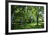 Green Springs Farm III-Alan Hausenflock-Framed Photographic Print