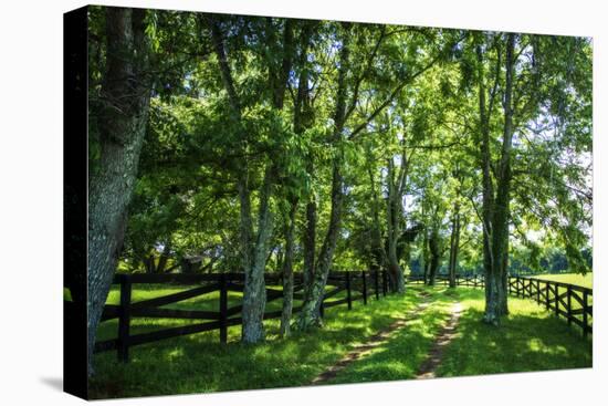 Green Springs Farm III-Alan Hausenflock-Stretched Canvas