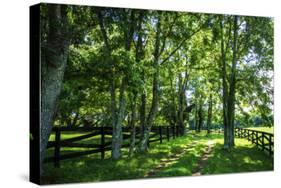 Green Springs Farm III-Alan Hausenflock-Stretched Canvas