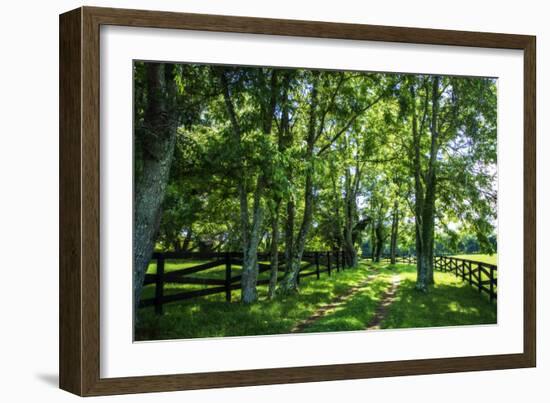 Green Springs Farm III-Alan Hausenflock-Framed Photographic Print