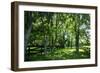 Green Springs Farm III-Alan Hausenflock-Framed Photographic Print