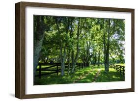 Green Springs Farm III-Alan Hausenflock-Framed Photographic Print