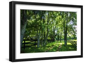 Green Springs Farm III-Alan Hausenflock-Framed Photographic Print