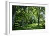 Green Springs Farm III-Alan Hausenflock-Framed Photographic Print