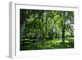 Green Springs Farm III-Alan Hausenflock-Framed Photographic Print