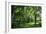 Green Springs Farm III-Alan Hausenflock-Framed Photographic Print